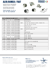 flyer-water_pump_italy